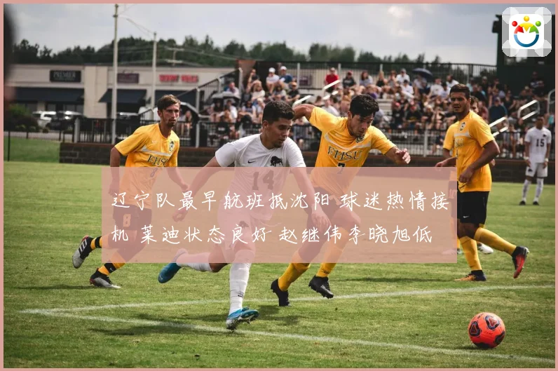 辽宁队最早航班抵沈阳 球迷热情接机 莱迪状态良好 赵继伟李晓旭低调现身