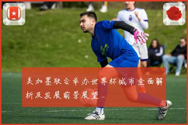 美加墨联合举办世界杯城市全面解析及发展前景展望
