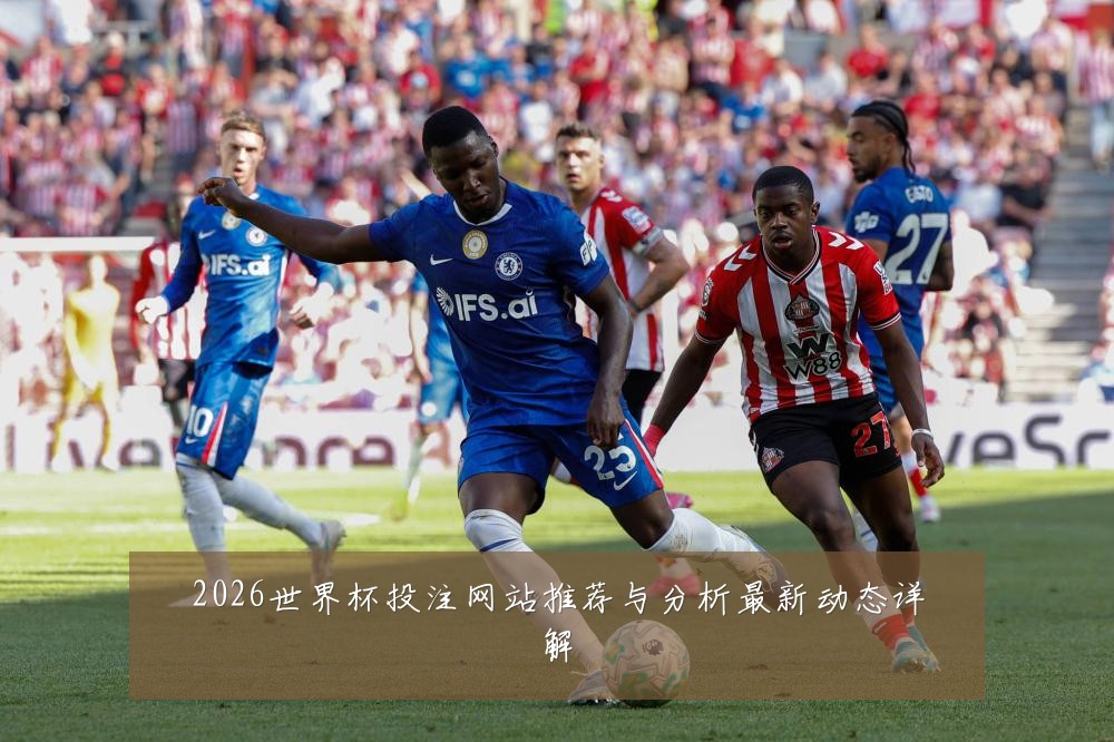 2026世界杯投注网站推荐与分析最新动态详解