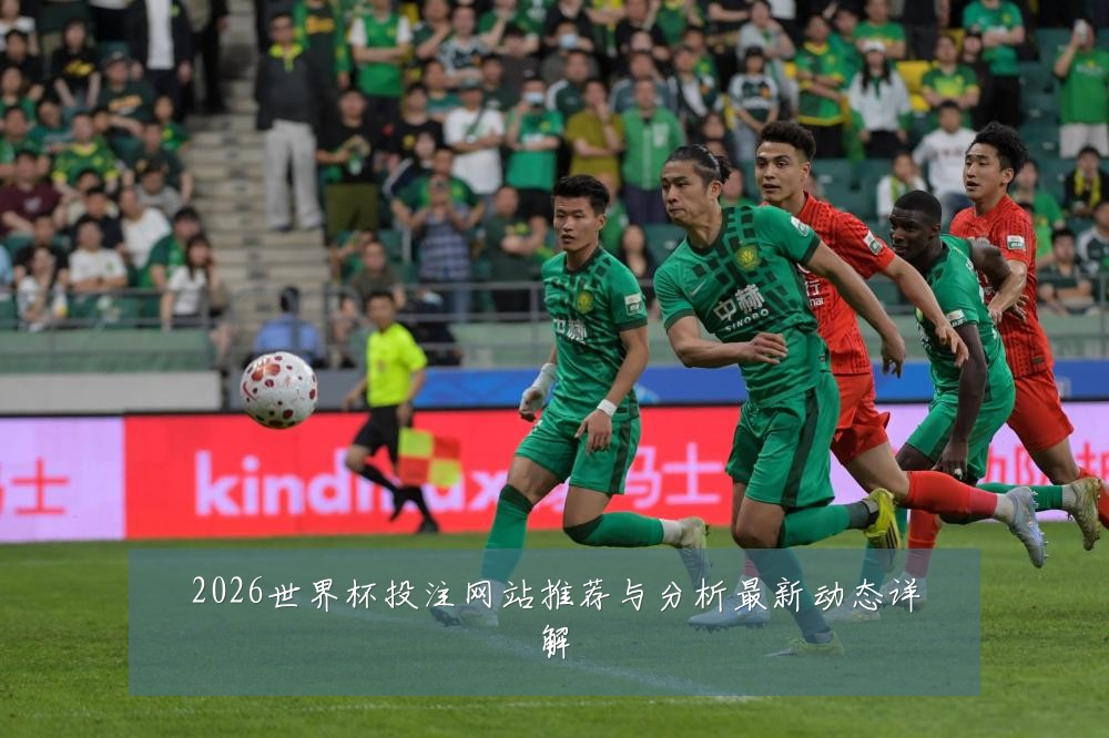 2026世界杯投注网站推荐与分析最新动态详解